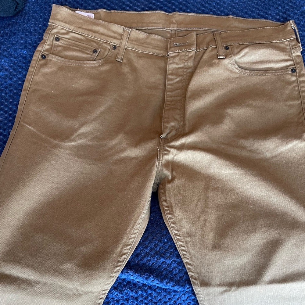 Levi 513 40w/30L